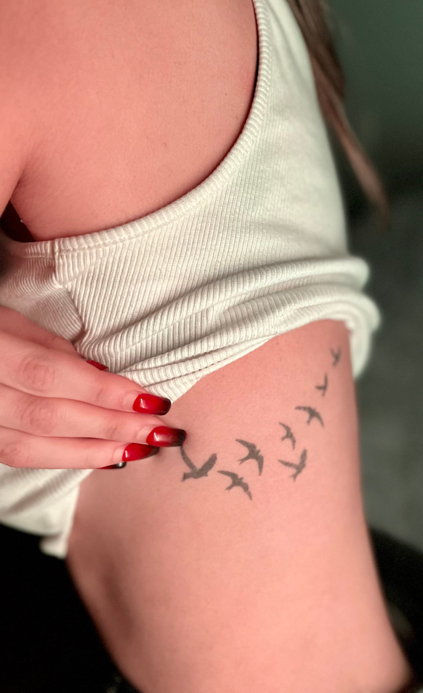 Pajaros