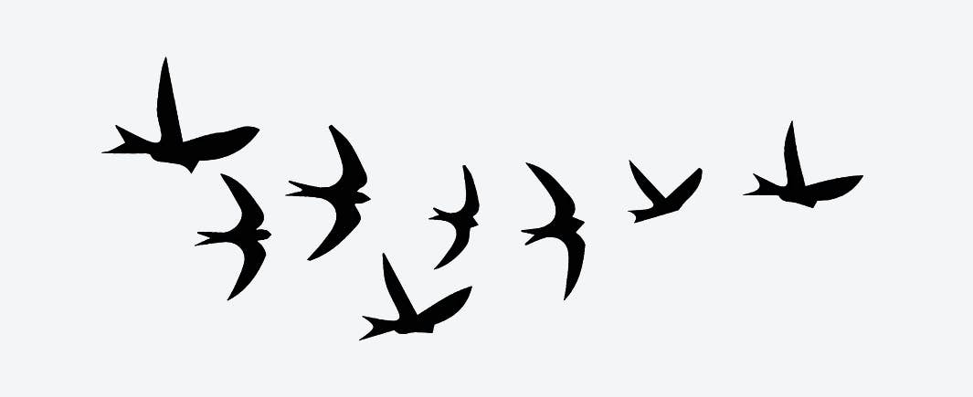 Pajaros