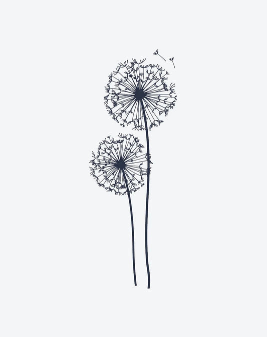 Dandelion Dreams