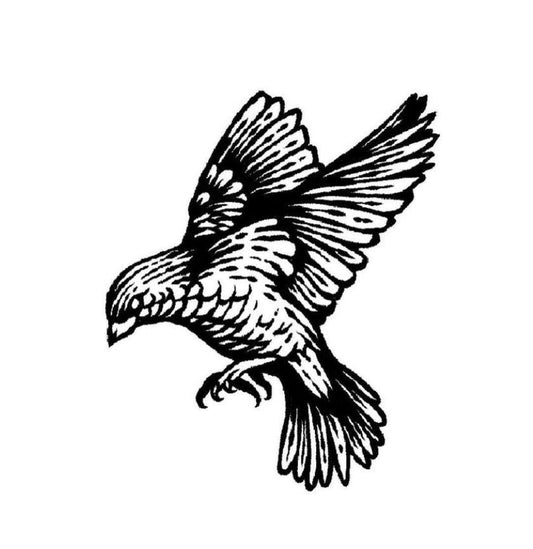 Flying Falcon