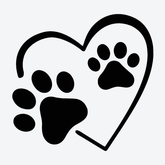Lovely dog paw
