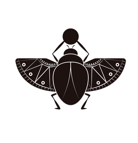 Scarab beetle