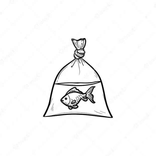 Cute fish