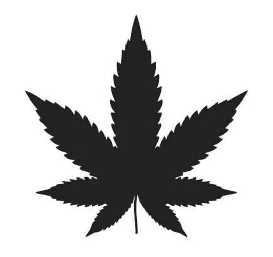 The Wild Plant