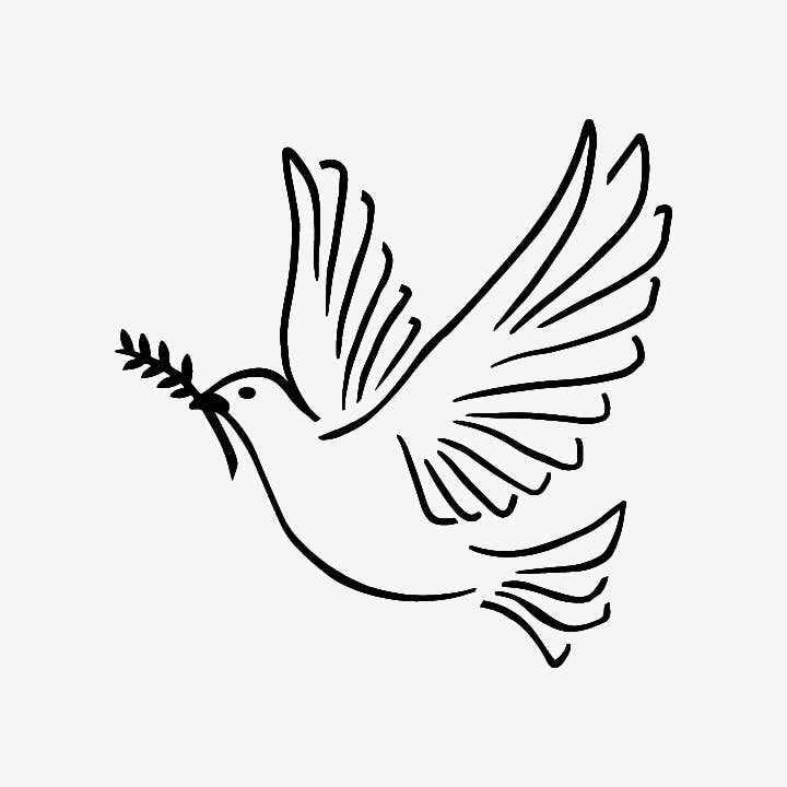 Peaceful pigeon