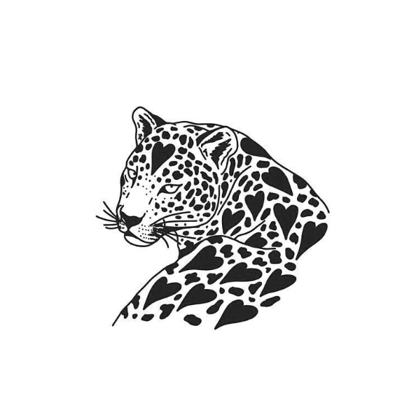 Cheetah